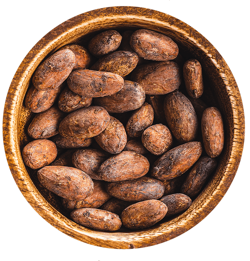 Cacao Beans